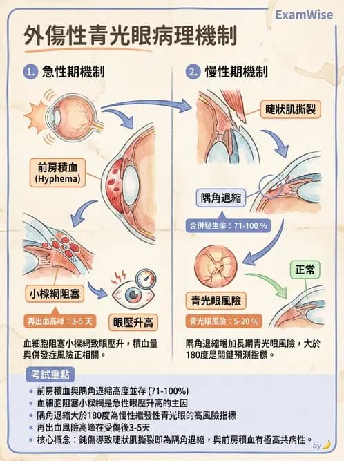 驗光師 - 青光眼分類、病因與危險因子 - AI 圖文解析預覽