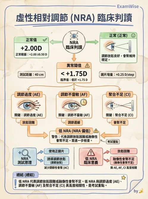 驗光師 - 調節性內聚力與聚散功能檢測 - AI 圖文解析預覽
