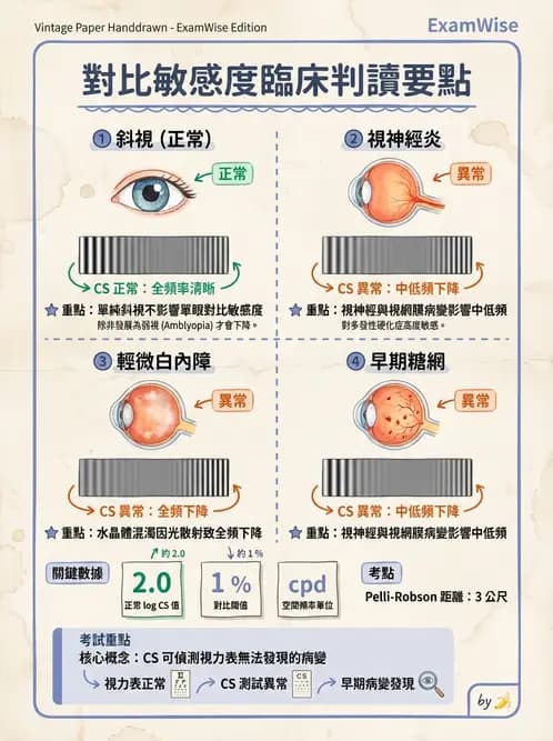 驗光師 - 對比敏感度與色覺檢查 - AI 圖文解析預覽