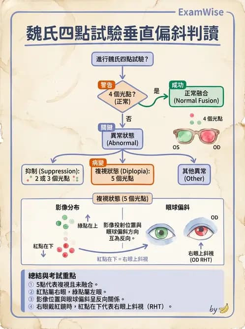 驗光師 - 調節功能與立體視融像評估 - AI 圖文解析預覽