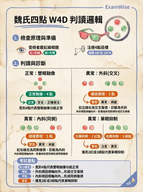 驗光師 - 調節功能與立體視融像評估 - AI 圖文解析預覽