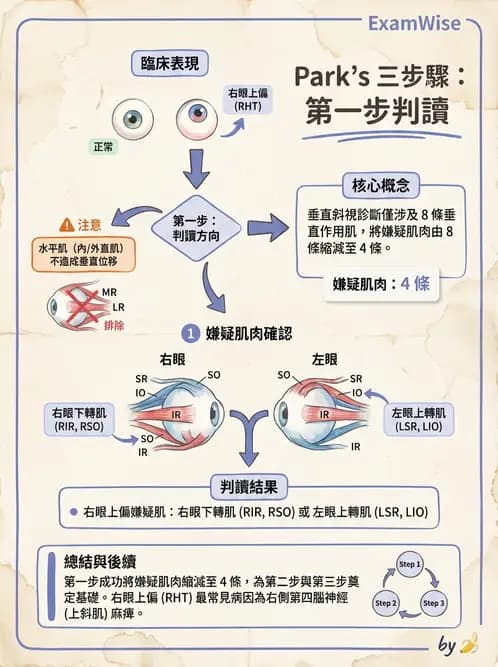 驗光師 - 斜視 - AI 圖文解析預覽