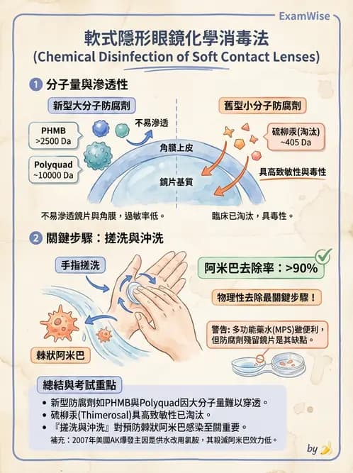 驗光師 - 隱形眼鏡護理 - AI 圖文解析預覽