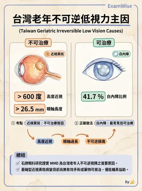 驗光師 - 視障的分類及流行分布 - AI 圖文解析預覽