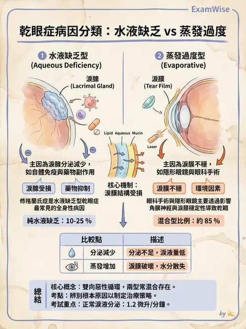 驗光師 - 角膜退化疾病與眼表問題 - AI 圖文解析預覽