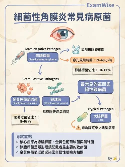 驗光師 - 感染性角結膜炎 - AI 圖文解析預覽