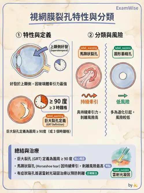 驗光師 - 視網膜疾病 - AI 圖文解析預覽