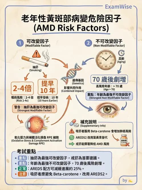 驗光師 - 老年性黃斑部及眼部退化疾病 - AI 圖文解析預覽