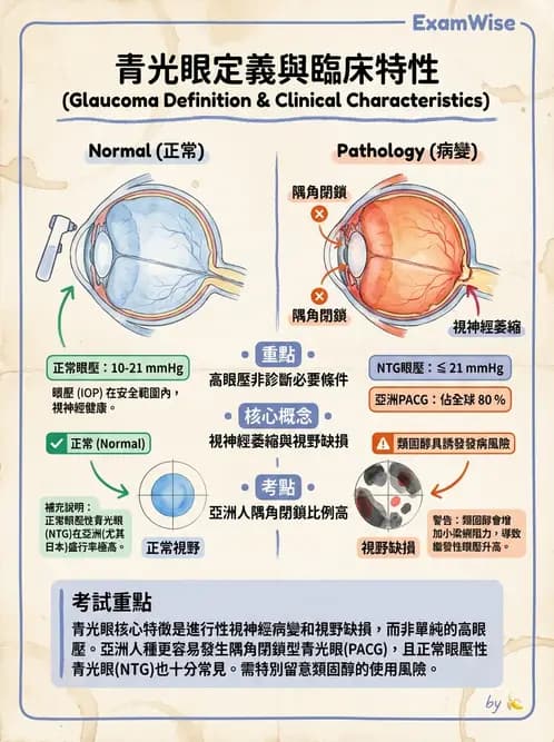 驗光師 - 青光眼分類、病因與危險因子 - AI 圖文解析預覽