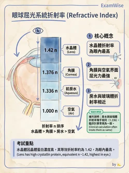 驗光師 - 眼球屈光系統基本原理 - AI 圖文解析預覽