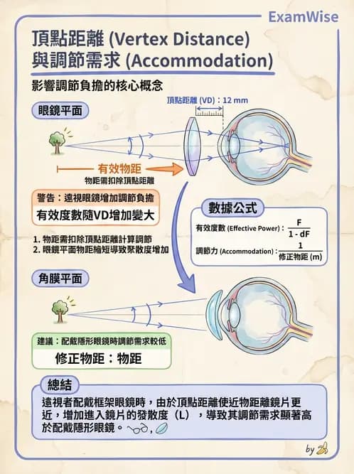 驗光師 - 調節機制與調節量計算 - AI 圖文解析預覽