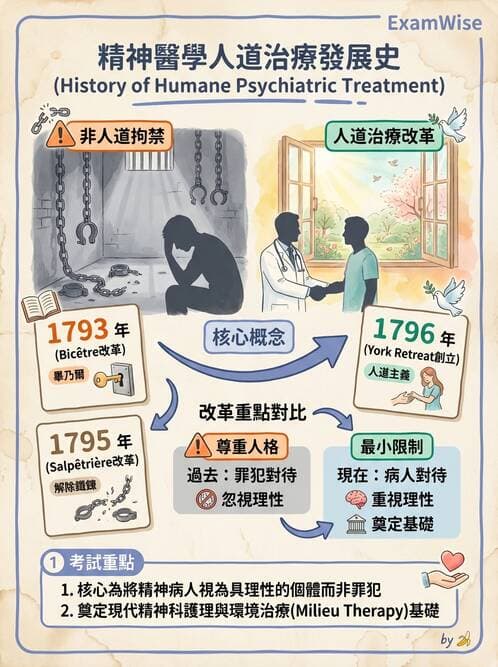 護理師 - 基本概念與專業角色 - AI 圖文解析預覽