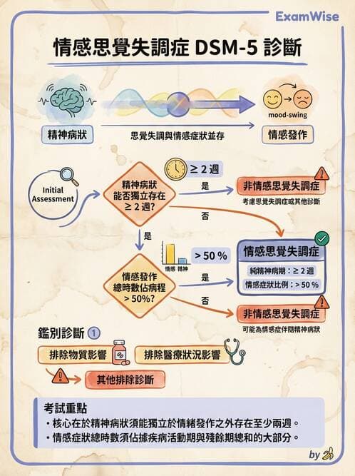 護理師 - 情感與思覺障礙綜合評估 - AI 圖文解析預覽