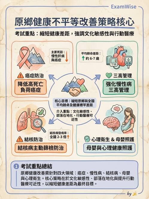 護理師 - 健康照護體系與健康政策 - AI 圖文解析預覽