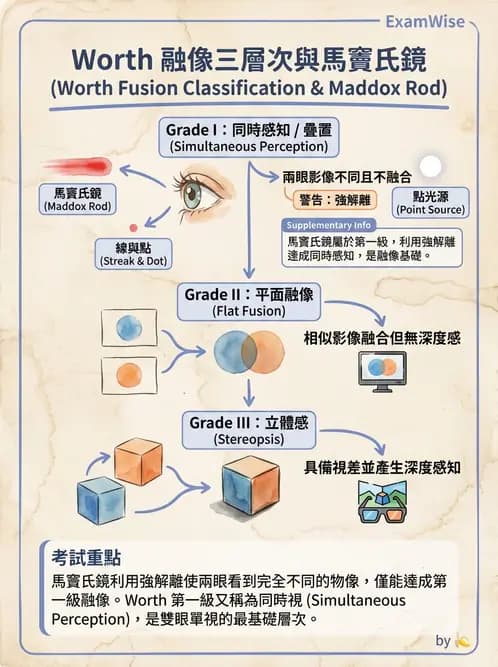 驗光師 - 隱斜位測量方法 - AI 圖文解析預覽