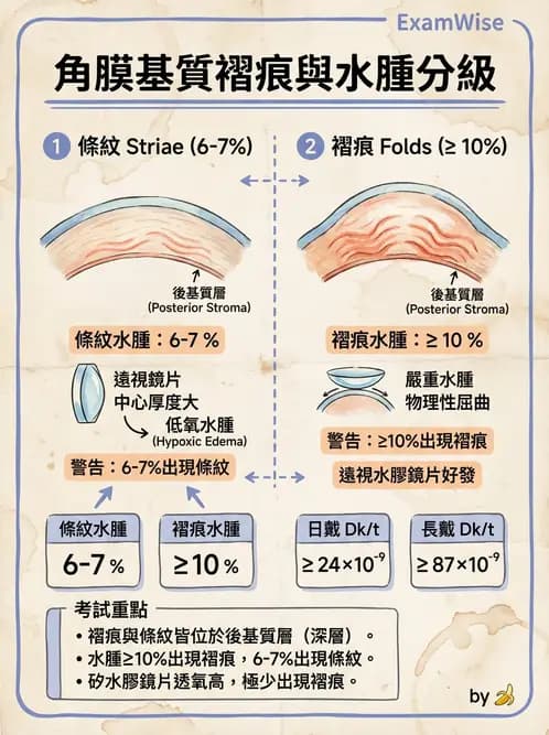 驗光師 - 角膜缺氧、水腫與變形 - AI 圖文解析預覽