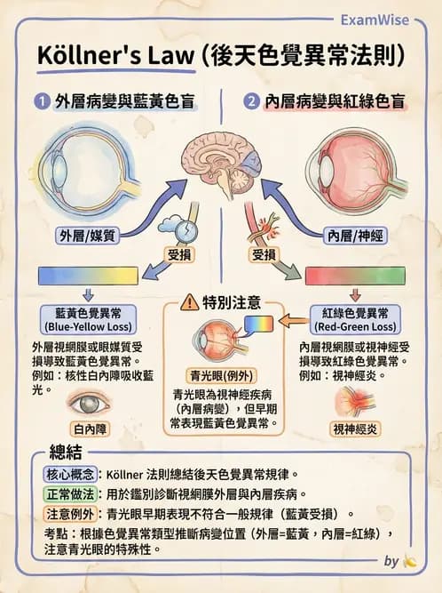 驗光師 - 功能性評估、對比敏感度與色覺 - AI 圖文解析預覽