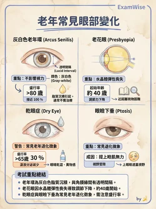 驗光師 - 視障的分類及流行分布 - AI 圖文解析預覽