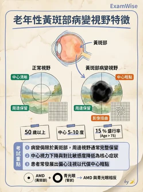 驗光師 - 老年性黃斑部及眼部退化疾病 - AI 圖文解析預覽