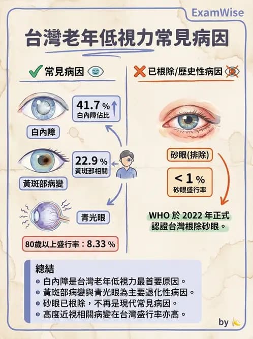 驗光師 - 視障的分類及流行分布 - AI 圖文解析預覽