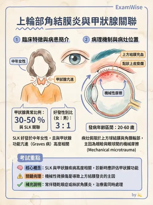 驗光師 - 血管阻塞、甲狀腺眼疾與其他全身性眼病變 - AI 圖文解析預覽