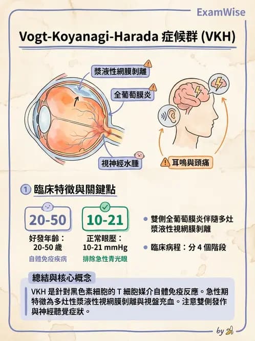 驗光師 - 葡萄膜炎與免疫相關眼病變 - AI 圖文解析預覽