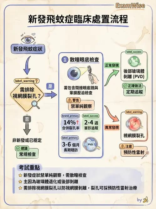 驗光師 - 視網膜疾病 - AI 圖文解析預覽