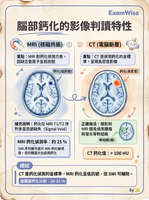 驗光師 - 斜弱視與神經眼科 - AI 圖文解析預覽