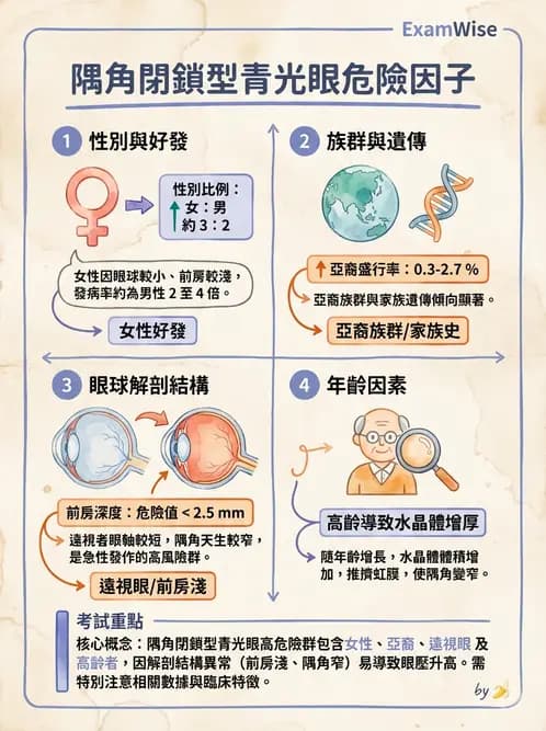驗光師 - 青光眼分類、病因與危險因子 - AI 圖文解析預覽
