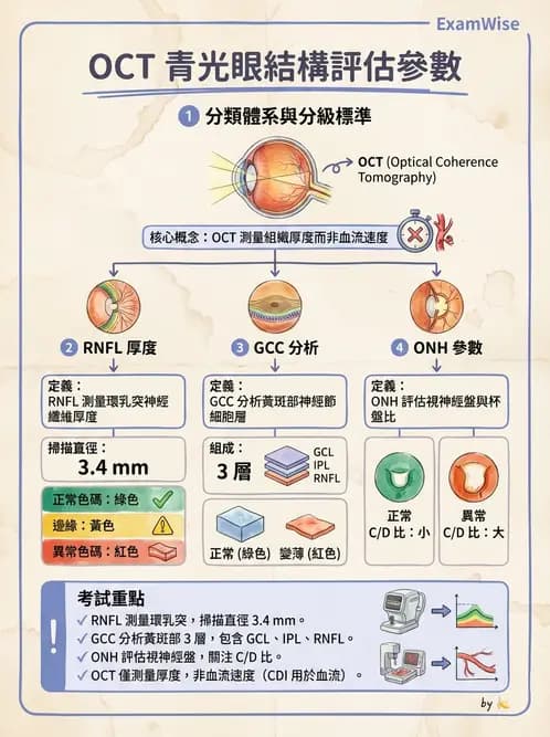 驗光師 - 青光眼診斷與治療 - AI 圖文解析預覽