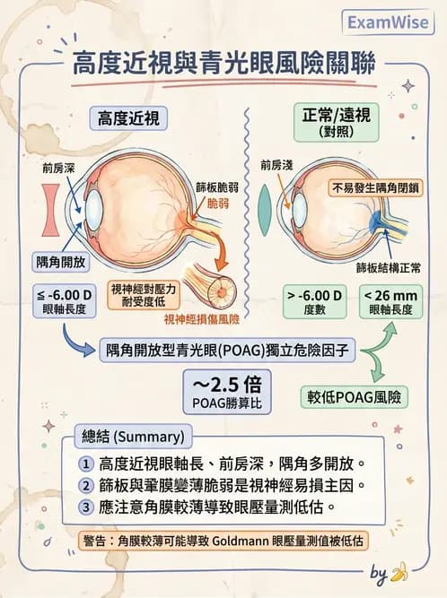 驗光師 - 近視併發症 - AI 圖文解析預覽