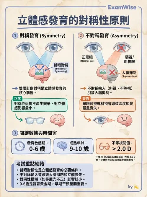 驗光師 - 視覺生理與檢查 - AI 圖文解析預覽