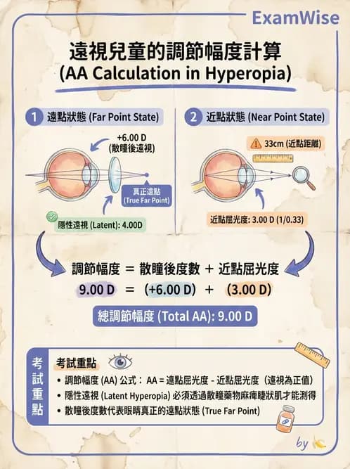 驗光師 - 調節機制與調節量計算 - AI 圖文解析預覽
