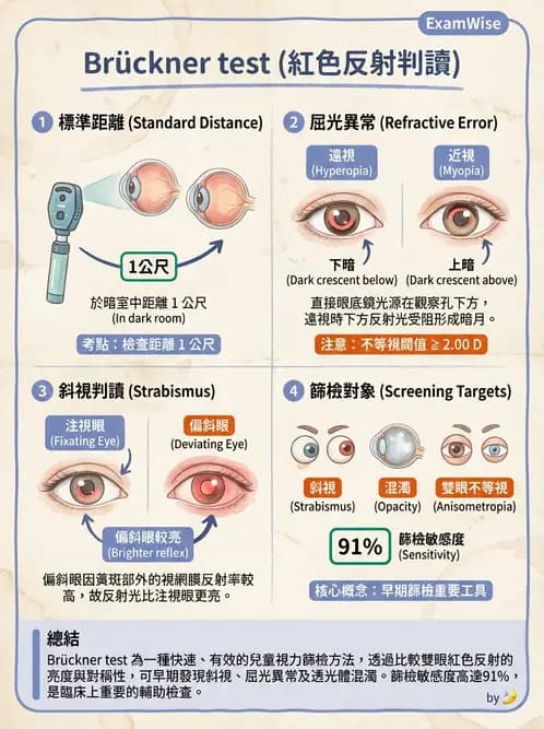 驗光師 - 眼外肌運動與眼位初步檢查 - AI 圖文解析預覽
