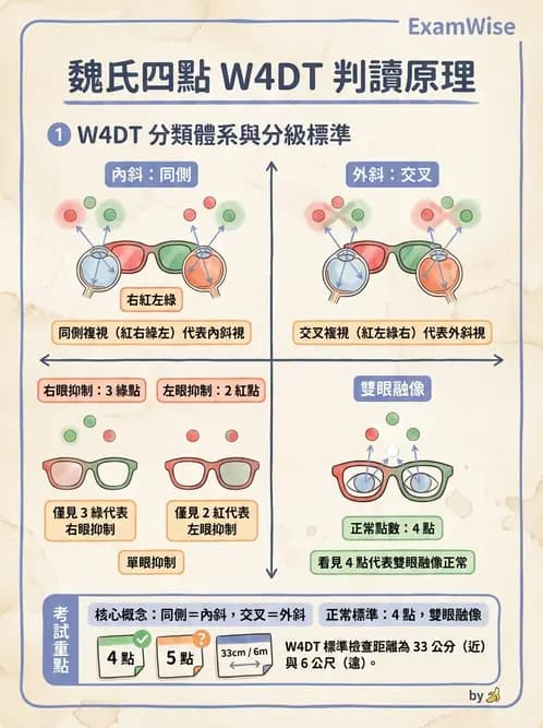 驗光師 - 調節功能與立體視融像評估 - AI 圖文解析預覽