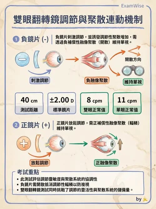 驗光師 - 調節性內聚力與聚散功能檢測 - AI 圖文解析預覽