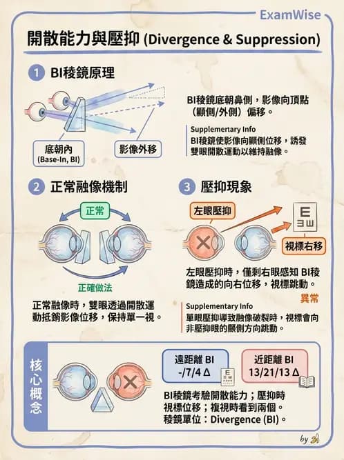 驗光師 - 調節性內聚力與聚散功能檢測 - AI 圖文解析預覽