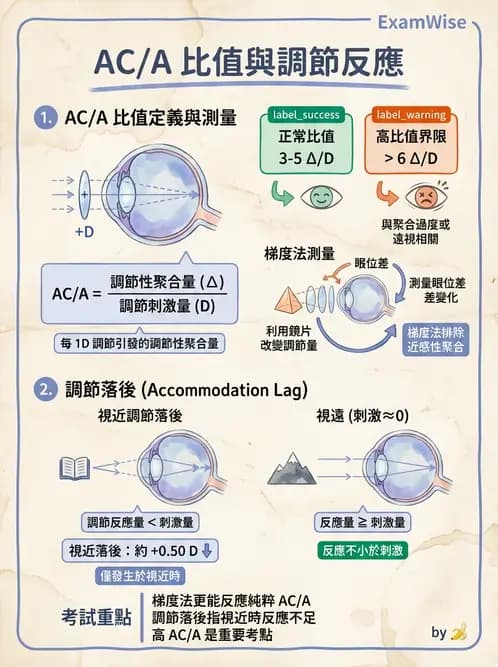 驗光師 - 調節性內聚力與聚散功能檢測 - AI 圖文解析預覽