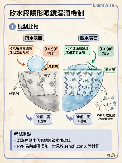 驗光師 - 軟式鏡片單體與化學分類 - AI 圖文解析預覽