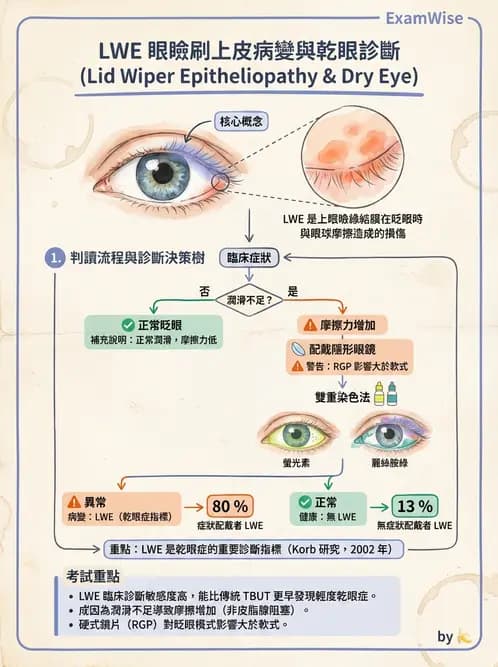 驗光師 - 結膜眼瞼反應、沉澱物與乾眼 - AI 圖文解析預覽