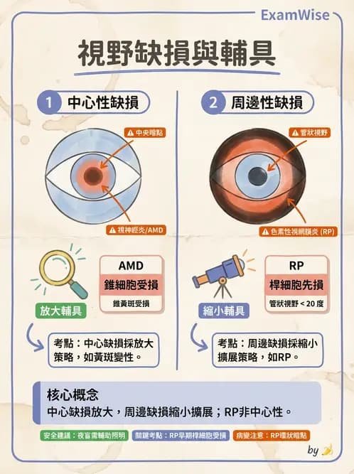 驗光師 - 低視力輔具臨床應用與選配 - AI 圖文解析預覽