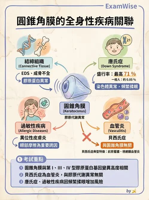 驗光師 - 角膜退化疾病與眼表問題 - AI 圖文解析預覽