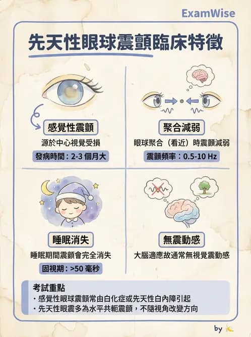 驗光師 - 遺傳性視網膜及色素疾病 - AI 圖文解析預覽