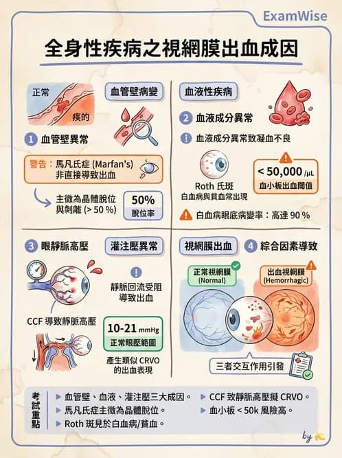 驗光師 - 血管阻塞、甲狀腺眼疾與其他全身性眼病變 - AI 圖文解析預覽