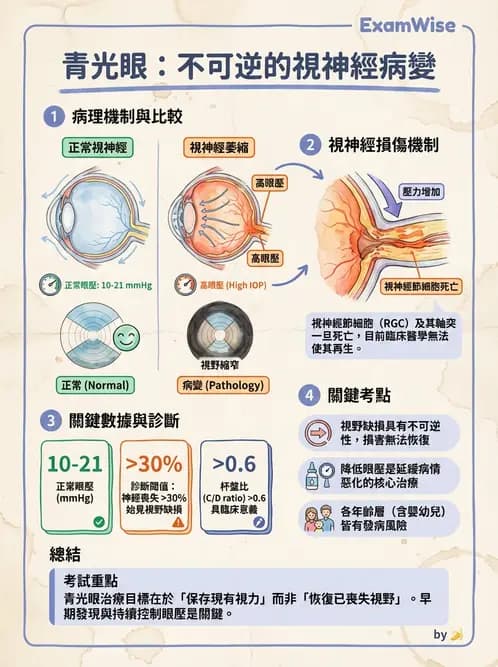 驗光師 - 青光眼分類、病因與危險因子 - AI 圖文解析預覽