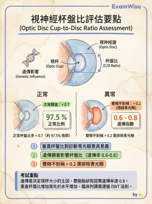 驗光師 - 青光眼診斷與治療 - AI 圖文解析預覽