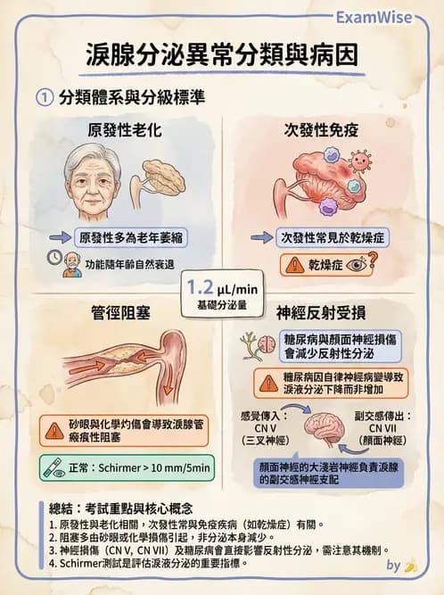 驗光師 - 眼附屬系統 - AI 圖文解析預覽