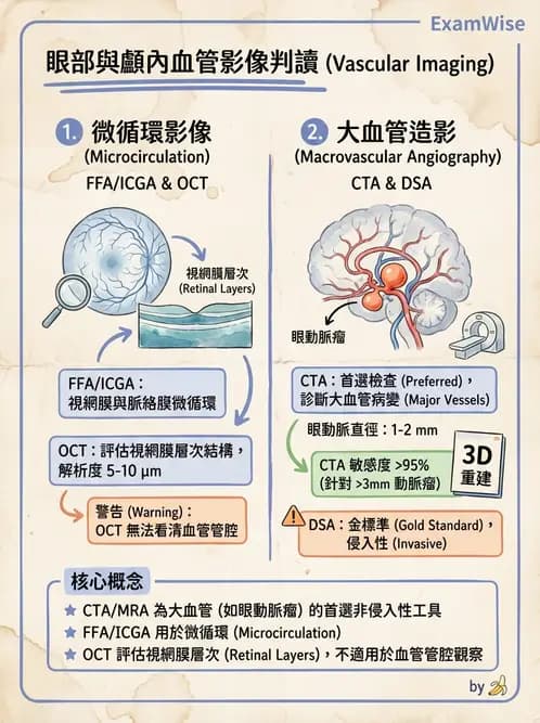驗光師 - 眼循環系統 - AI 圖文解析預覽