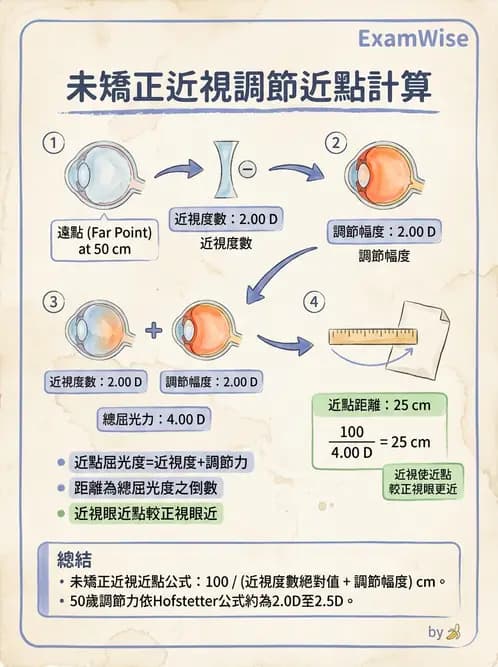 驗光師 - 調節機制與調節量計算 - AI 圖文解析預覽