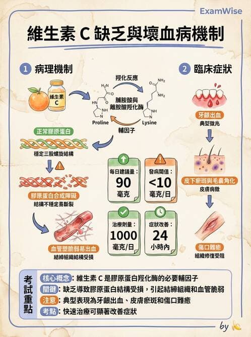 護理師 - 感染及環境疾病 - AI 圖文解析預覽